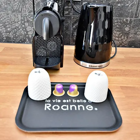 Arum Classee 3 Etoiles Avec Terrasse Lejlighed Roanne